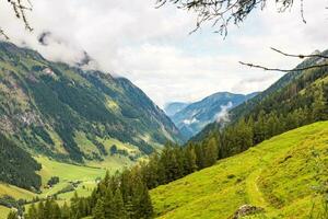 Austrian Alps covered with green grass and forests with small rays of sun photo