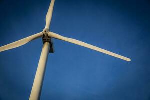 Single Wind Turbine photo