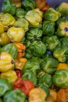 Colorful Chiles Habaneros photo