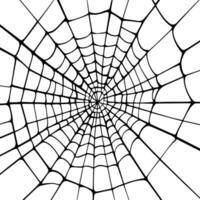 Spider round web, hand drawn. Vector black silhouette on a white background.