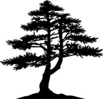 Pine tree silhouette isolated on white background. Vector Illustration.