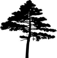 Pine tree silhouette isolated on white background. Vector Illustration.