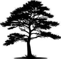 Pine tree silhouette isolated on white background. Vector Illustration.