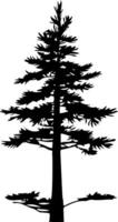 Pine tree silhouette isolated on white background. Vector Illustration.