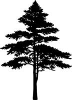 Pine tree silhouette isolated on white background. Vector Illustration.