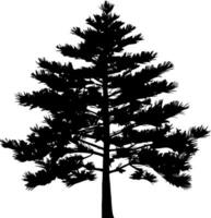 Pine tree silhouette isolated on white background. Vector Illustration.