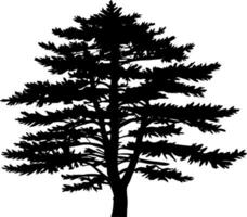 Pine tree silhouette isolated on white background. Vector Illustration.