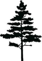 Pine tree silhouette isolated on white background. Vector Illustration.