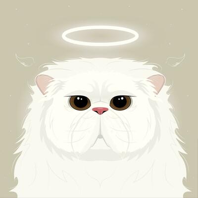 Cute angel persian cat with a halo