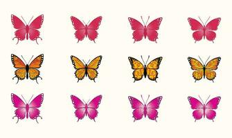 Big collection of colorful butterflies. Vector set