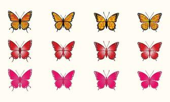 Big collection of colorful butterflies. Vector set