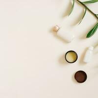 Organic cosmetics with a green branch of zamiokulkas and bottles of creams, a jar of cocoa butter on a beige background with a copy of the space, a top view and a flat sunbed photo