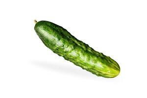 Cucumber isolated on white or invisible png background photo
