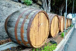 wine barrels lined up in front of a stone wall photo