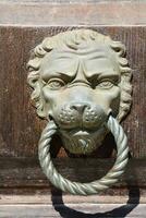 a lion head on a wooden door handle photo