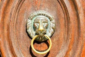 un león cabeza en un de madera puerta encargarse de foto