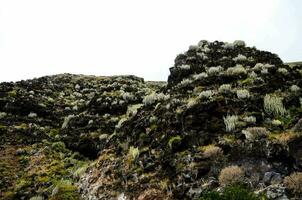 the rocks are covered in moss and plants photo