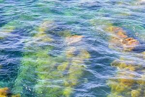 el agua es claro y azul con algas foto
