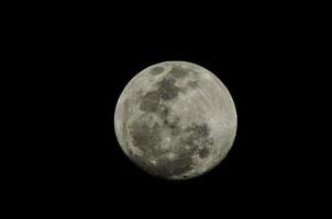 el Luna es visto en el oscuro cielo foto