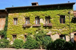 an old building with ivy growing on it photo