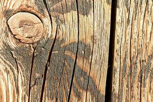 a close up of a wooden wall with a knot photo