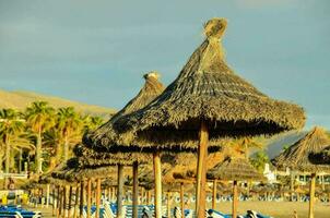 a beach with thatched umbrellas and chairs photo