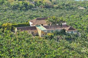 a house surrounded by banana trees in the middle of a jungle photo