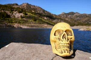 a yellow skull sitting on a rock near a lake photo