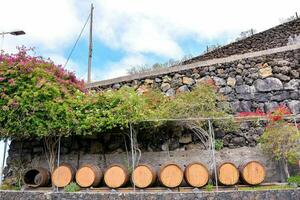 wine barrels in front of a stone wall photo