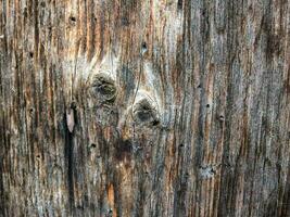 a close up of a wooden fence photo