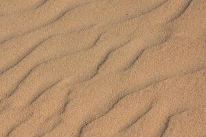 a close up of sand with ripples in it photo