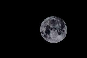 el Luna es visto en el oscuro cielo foto