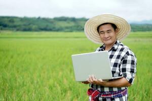 Handsome Asian man farmer wears hat, plaid shirt, holds laptop computer to inspect and collect data about growth and diseases of plants in paddy filed. Concept, Agriculture reseach, use technology. photo