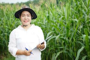 Asian woman farmer wears hat, white shirt, holds paper clipboard to record and inspect growth and diseases of plants at maize garden.  Concept. Agriculture occupation, survey and research. photo