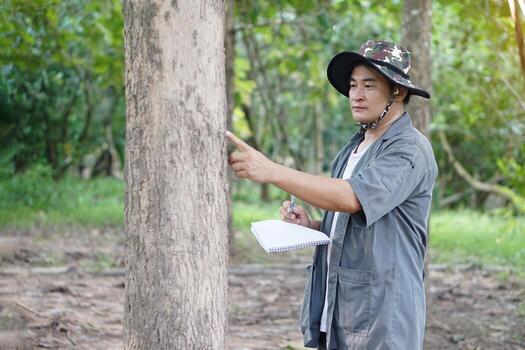 Asian man botanist is inspecting trunk of tree in forest. Selective focus on the man to analysis and research about growth of tree. Concept, forest valuation. Conservation of environment. photo