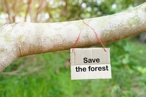 Paper tag with words Save the forest hangs on branch of tree in forest. Concept, forest conservation. Campaign people around the world to stop deforestation, cut down trees, reforest photo