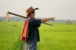 Asian man farmer stands at paddy field, carry a hoe on his shoulder, point to something. Concept organic farming. No chemical. Using traditional manual tool in stead of use herbicide. Zero pollution. photo