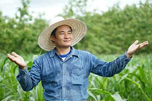 Happy Asian man farmer is at garden, wear hat, blue shirt,  make hands gesture at paddy field, feel confident. Concept, Agriculture occupation. photo