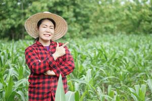 Happy Asian woman farmer wears hat, red plaid shirt, point finger, stands at maize garden. Concept, agriculture occupation. Thai farmer lifestyle. Visit and take care of crops after grow. photo