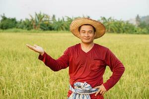 Handsome Asian man farmer wears hat, red shirt, pose hand on waist and  make hand gesture to present, stands at paddy field. Concept, agriculture occupation. Lifestyle. Copy space for adding text. photo