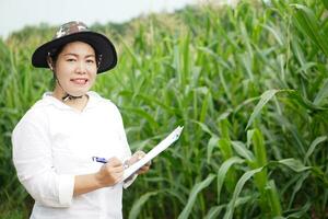 Asian woman farmer wears hat, white shirt, holds paper clipboard to record and inspect growth and diseases of plants at maize garden. Concept. Agriculture occupation, survey and research. photo