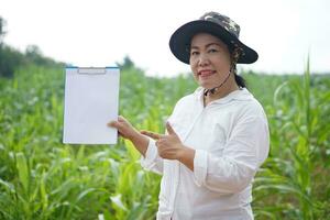 Asian woman farmer wears hat, white shirt, holds and point to blank paper clipboard to inspect growth and diseases of plants at maize garden.  Concept. Agriculture occupation, survey and research. photo