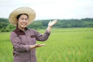 Happy Asian woman farmer is at paddy field, wears hat, plaid shirt, pose hands gesture to present something. Concept, agriculture occupation. Lifestyle. Copy space for adding text or advertisement. photo