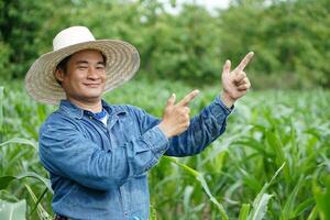 Happy Asian farmer wears hat, blue shirt, point fingers that can use for advertisment or text,  stand at maize garden, feel confident. Concept, Agriculture occupation. photo