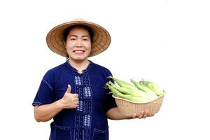 Asian woman farmer hold basket of fresh organic corn. Thai local breed. Favorite for Thai northern farmers grow for boil, steam or cook for Thai traditional dessert. Concept, agricultural crop product photo