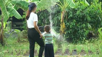 madre e figlio felicemente acqua il verdure quello essi piantato a casa. video