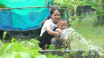 Mother and son happily water the vegetables that they planted at home. video