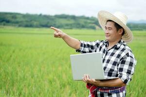 Handsome Asian man farmer wears hat, plaid shirt, holds laptop computer to inspect and collect data about growth and diseases of plants in paddy filed.  Concept, Agriculture reseach, use technology. photo