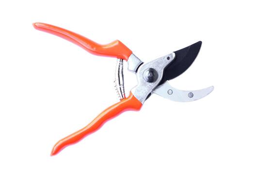 Pruner, Pruning scissors isolated on the white background. Concept, tool, equipment for working in garden, Use for pruning branches of trees, bushes, or grass. Gardening and agriculture tool. photo