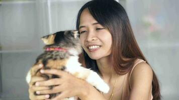 Woman playing with cat at home, stroking the cat's head, scratching the cat's belly video